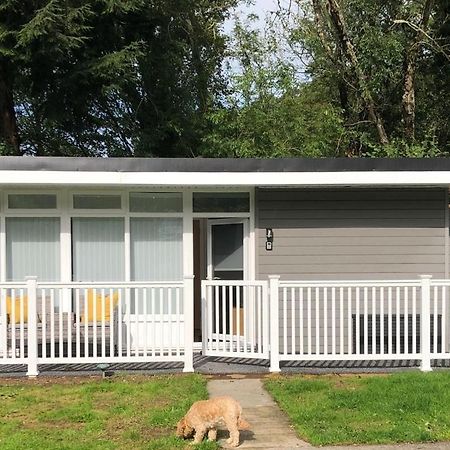 Woodlands Luxury Escape - Lodge 81 Нюкий Екстериор снимка